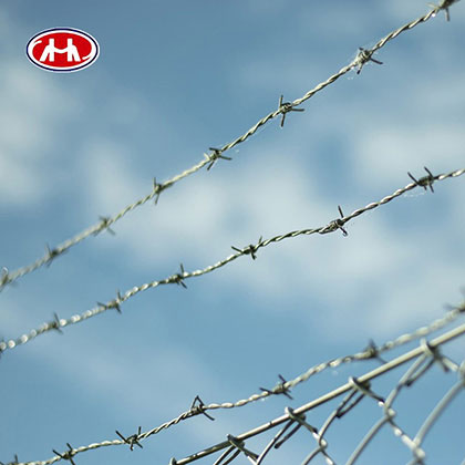 Barbed Wire