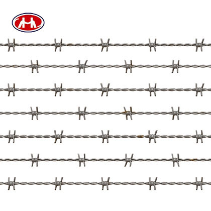 Barbed Wire