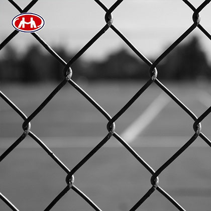 Chain Link Fence